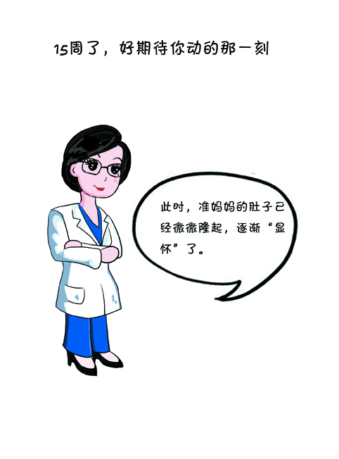 15周的胎儿发育全了吗,15周的胎儿发育得怎么样了