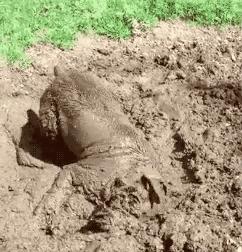 卖泥巴的利润多大,卖泥巴也能赚钱