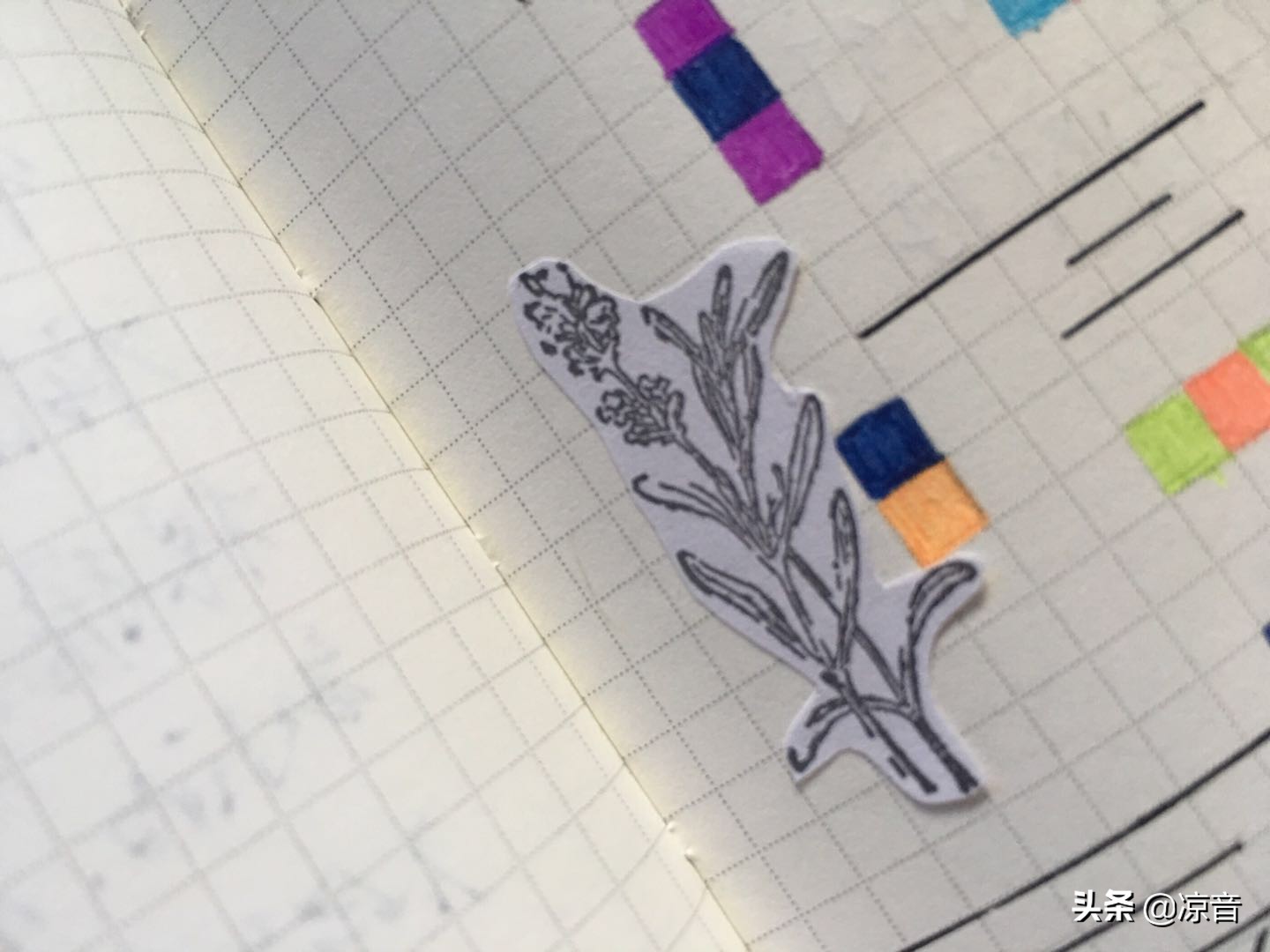 手帐入坑指南书,手帐雷区