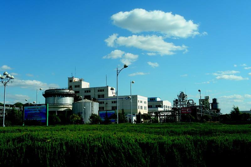 坐拥煤、盐优势资源，西北大地上的陕西金泰化工，实力不容小觑