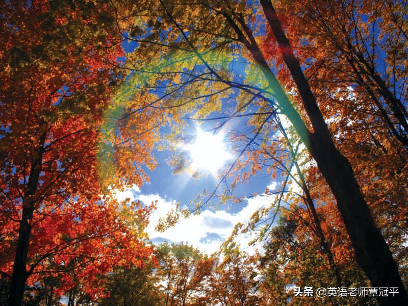 你的英语为什么这么好,为什么我们总是学不好英语