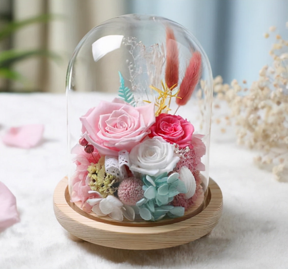 哪种花叫永生花,有种花叫永生花