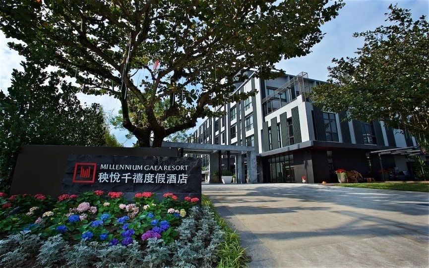 武夷山千禧大酒店金凤凰,武夷山千禧酒店温泉