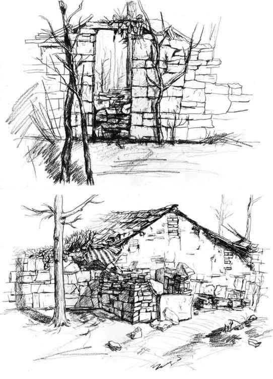 速写风景初学者入门教程,速写风景初学者入门教程植物