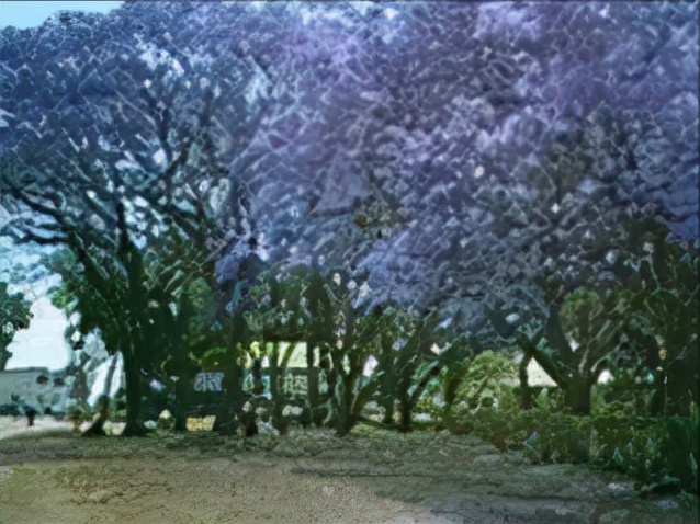 植物无试管快繁技术,容易做快繁技术的植物