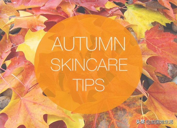 护肤好用的大宝是哪款,秋冬补水保湿护肤品推荐大宝