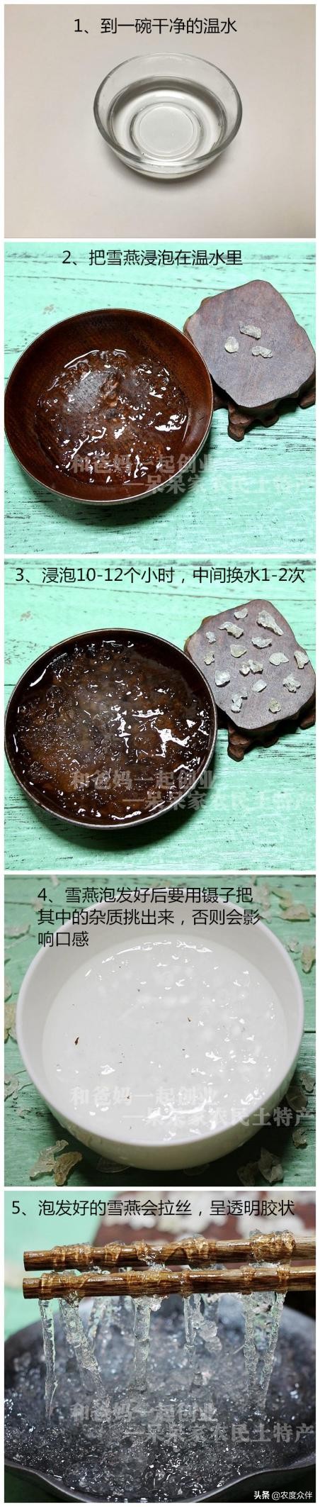 雪燕是什么做的,雪燕的最佳做法