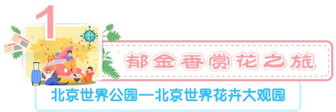 北京丰台五一旅游最佳去处,丰台区赏花景点