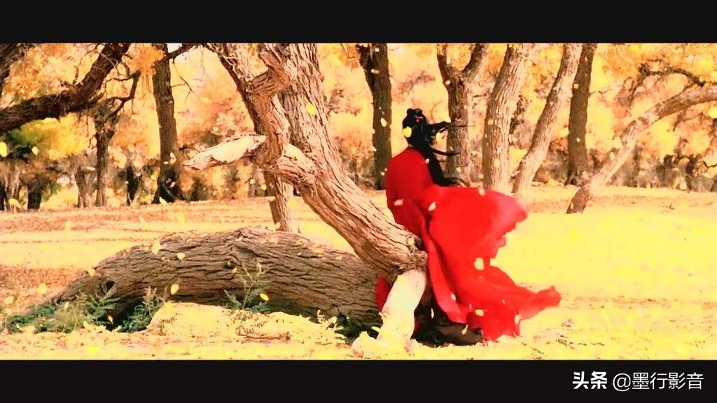 讲述我心中的英雄黄继光,讲述我心目中的英雄