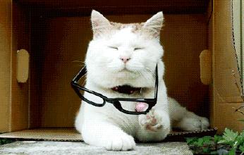 日本含有违禁成分的眼药水,遭禁售的日本眼药水