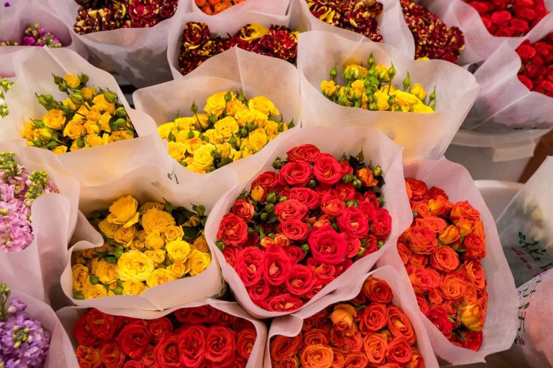 广州最大的花卉市场有哪些店,广州最便宜的花卉交易市场