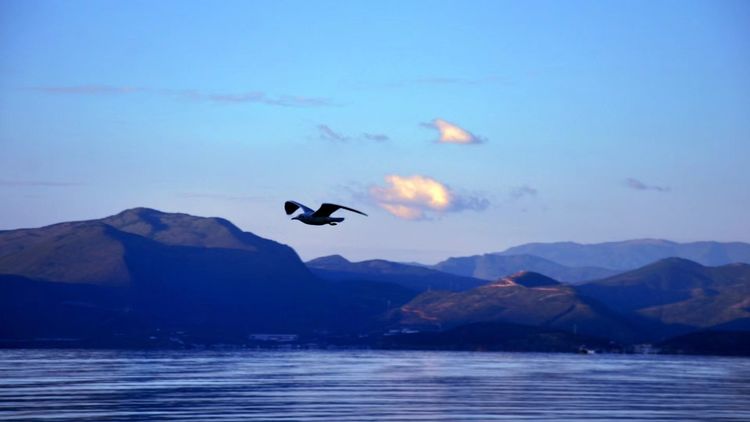 深秋的私语,美文美图经典欣赏