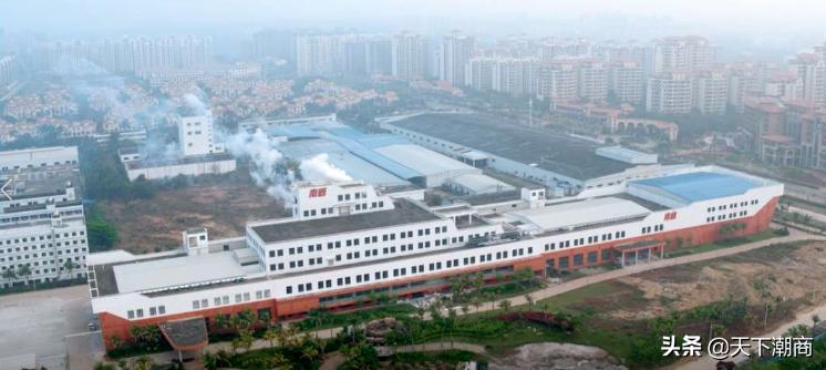 海南速溶椰子粉,速溶海南椰子粉