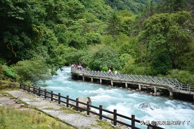 二郎山喇叭河看鹿,二郎山喇叭河看日出攻略