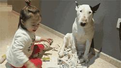 颜王像牛头梗,极限挑战颜王撞脸牛头梗哪一集