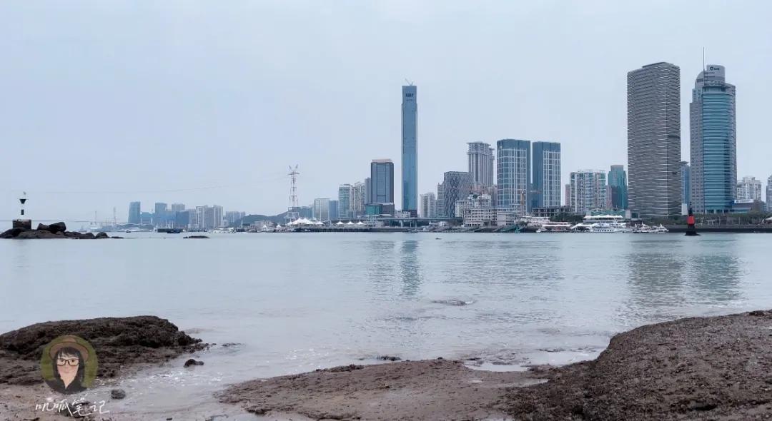 鼓浪屿赶海抓虫,鼓浪屿赶海佛手螺