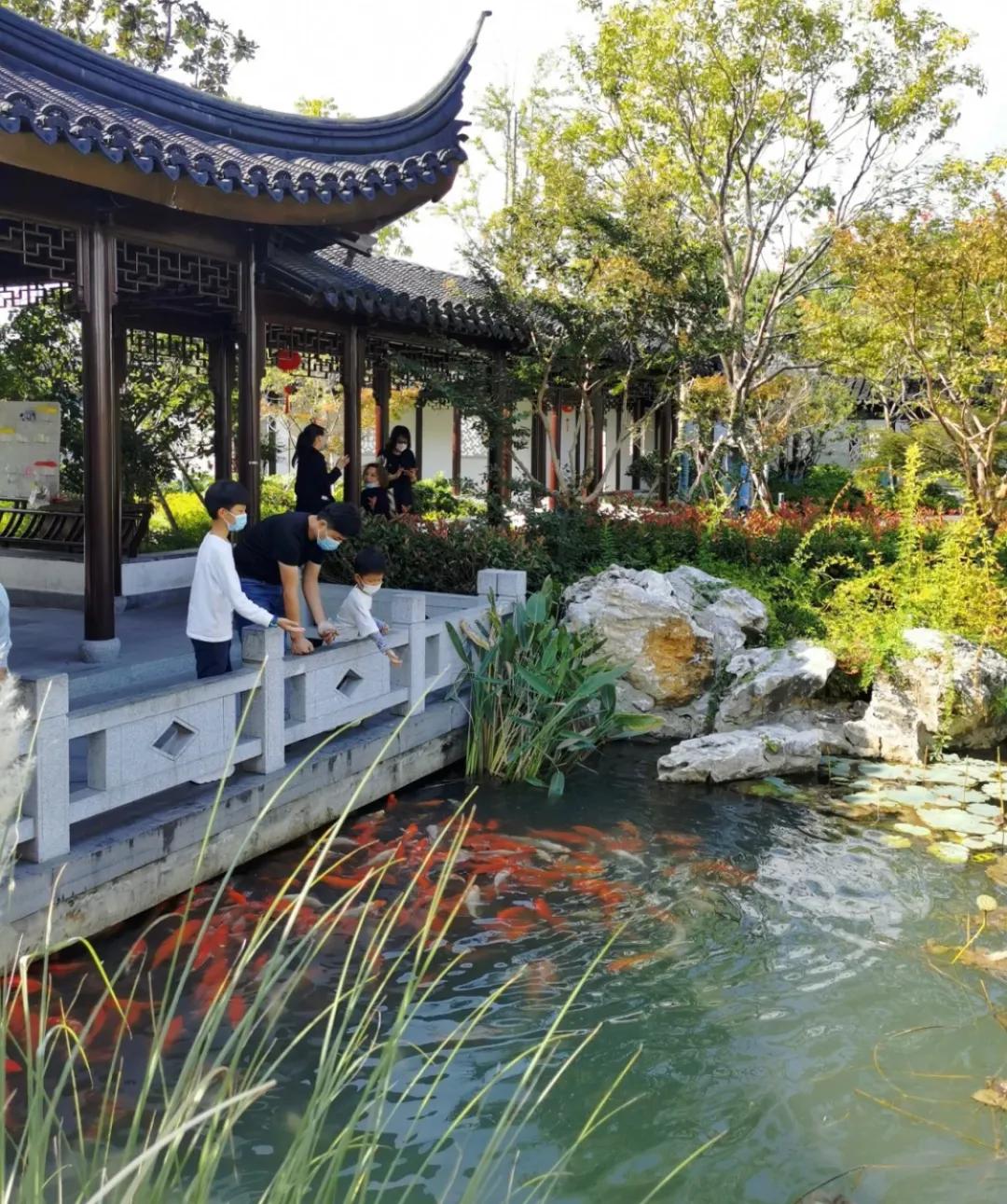 为什么江苏人爱去高速服务区旅游