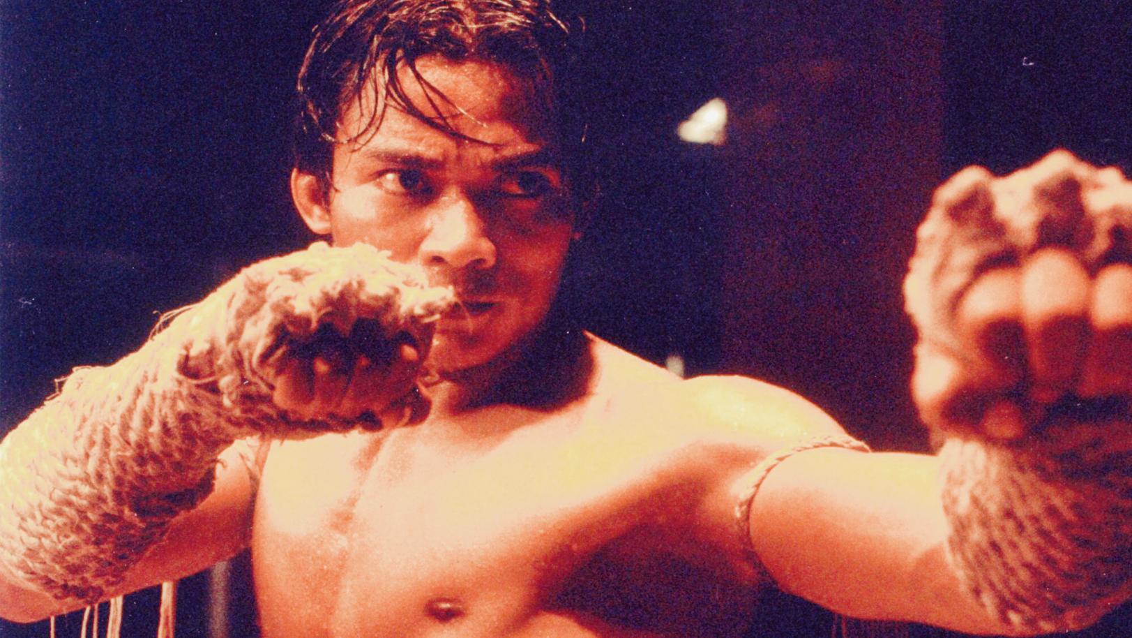 吴京与甄子丹巷战的电影,甄子丹吴京全部电影完整版