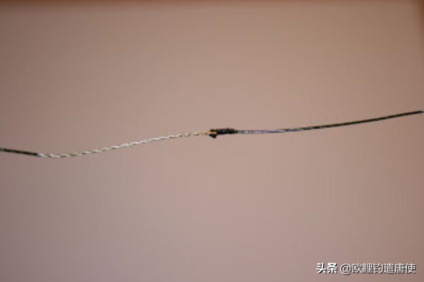 话说欧鲤钓诱饵篇,枯叶钓组和线辫钓组区别