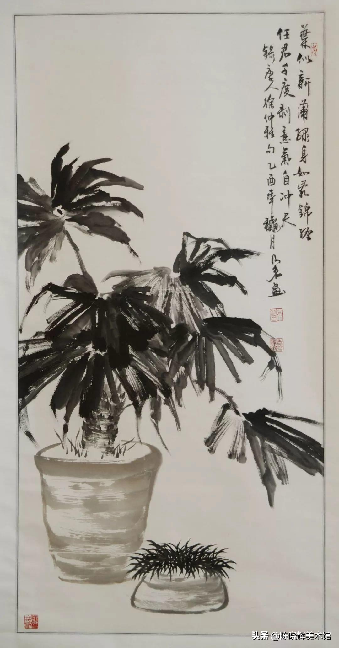 国画芭蕉教学设计,写意芭蕉的画法步骤