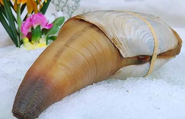 全吃过的是牛人，海边3种“野味”，一般人不敢吃，却是天下奇鲜