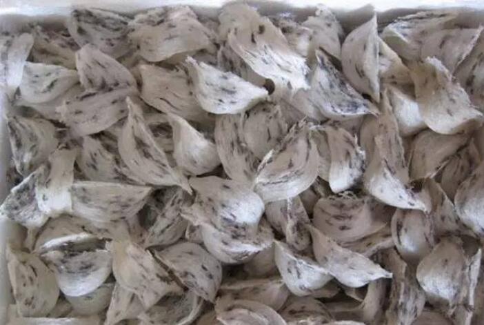 去泰国燕窝多少钱,去泰国买哪个牌子燕窝