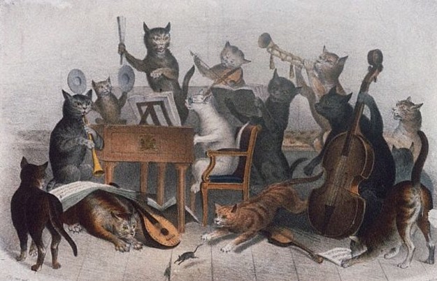 北美崔哥人设崩塌,北美人设崩溃图片