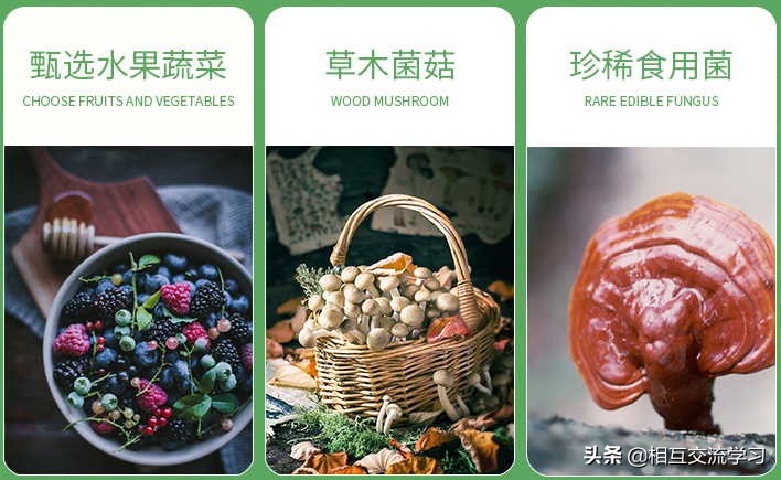 春意盎然,浙江蕴本邀您迎接商机!引领菌菇类酵素行业新征程