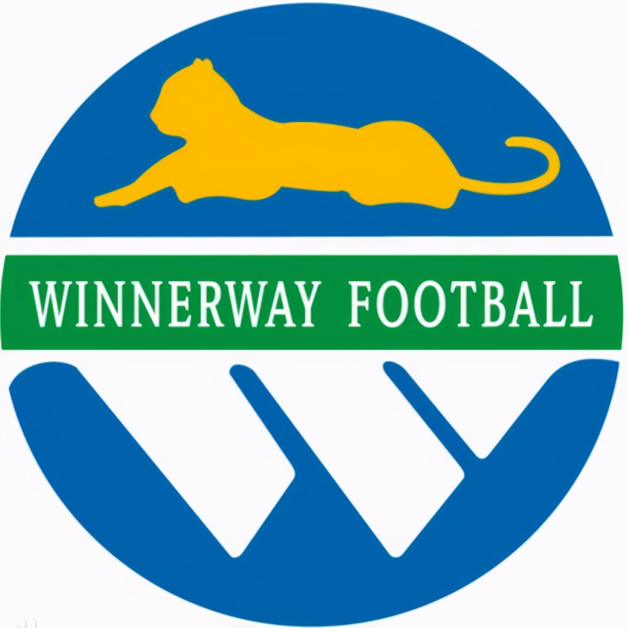 天津泰达改名津门虎吗,泰达改名津门虎了吗