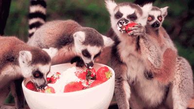 美食｜谁说甜品都很贵？8款高颜值低成本草莓甜品，一学就会