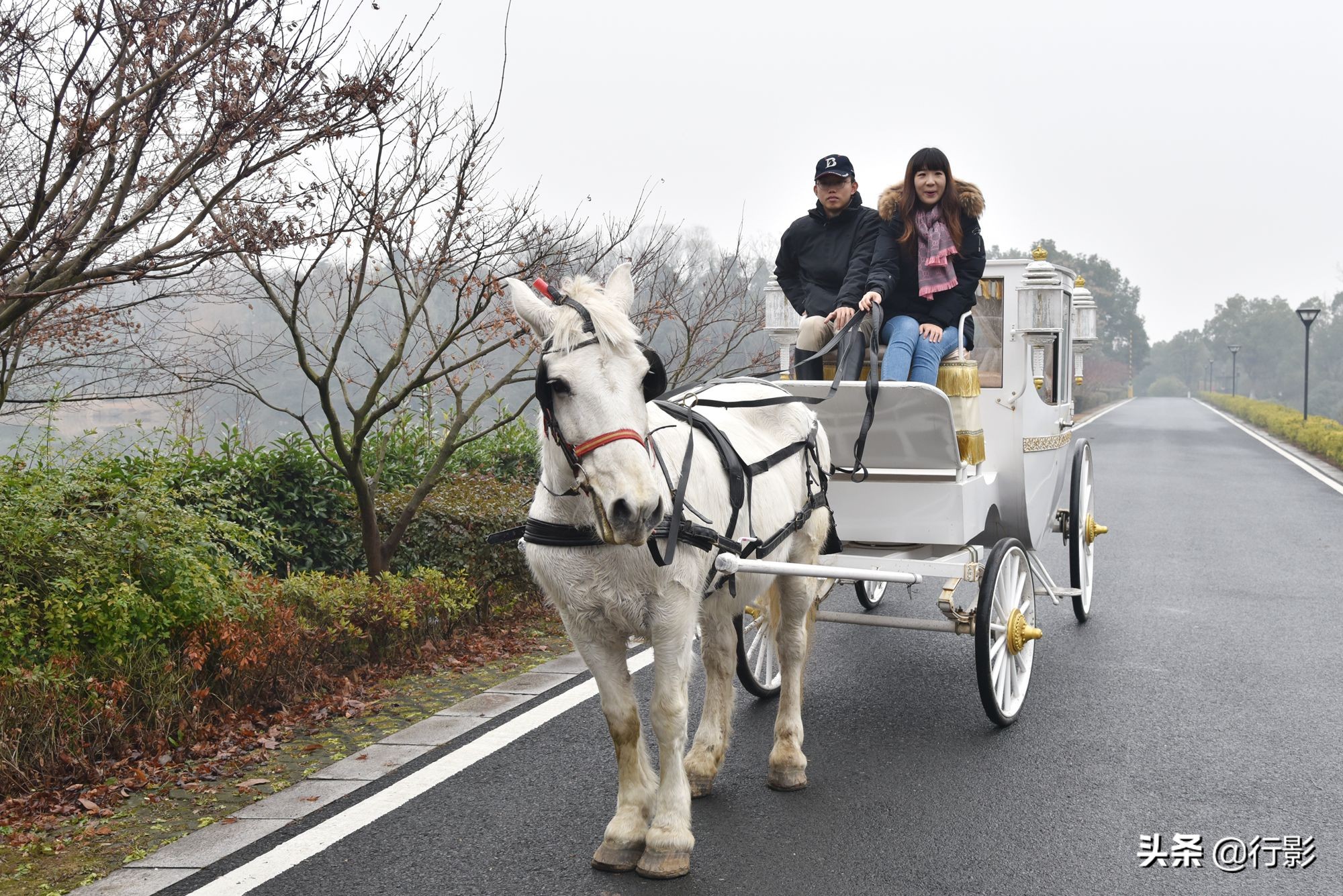 南京紫金山庄菜,南京紫金山庄钟山楼