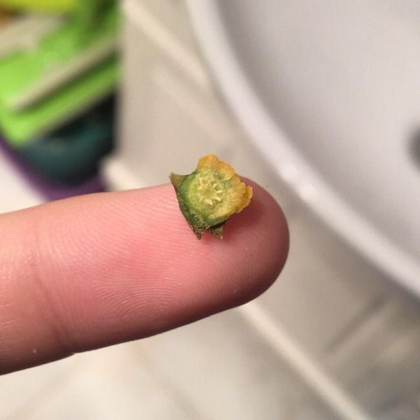 10个让人震惊的冷知识,最有趣的10条冷知识点