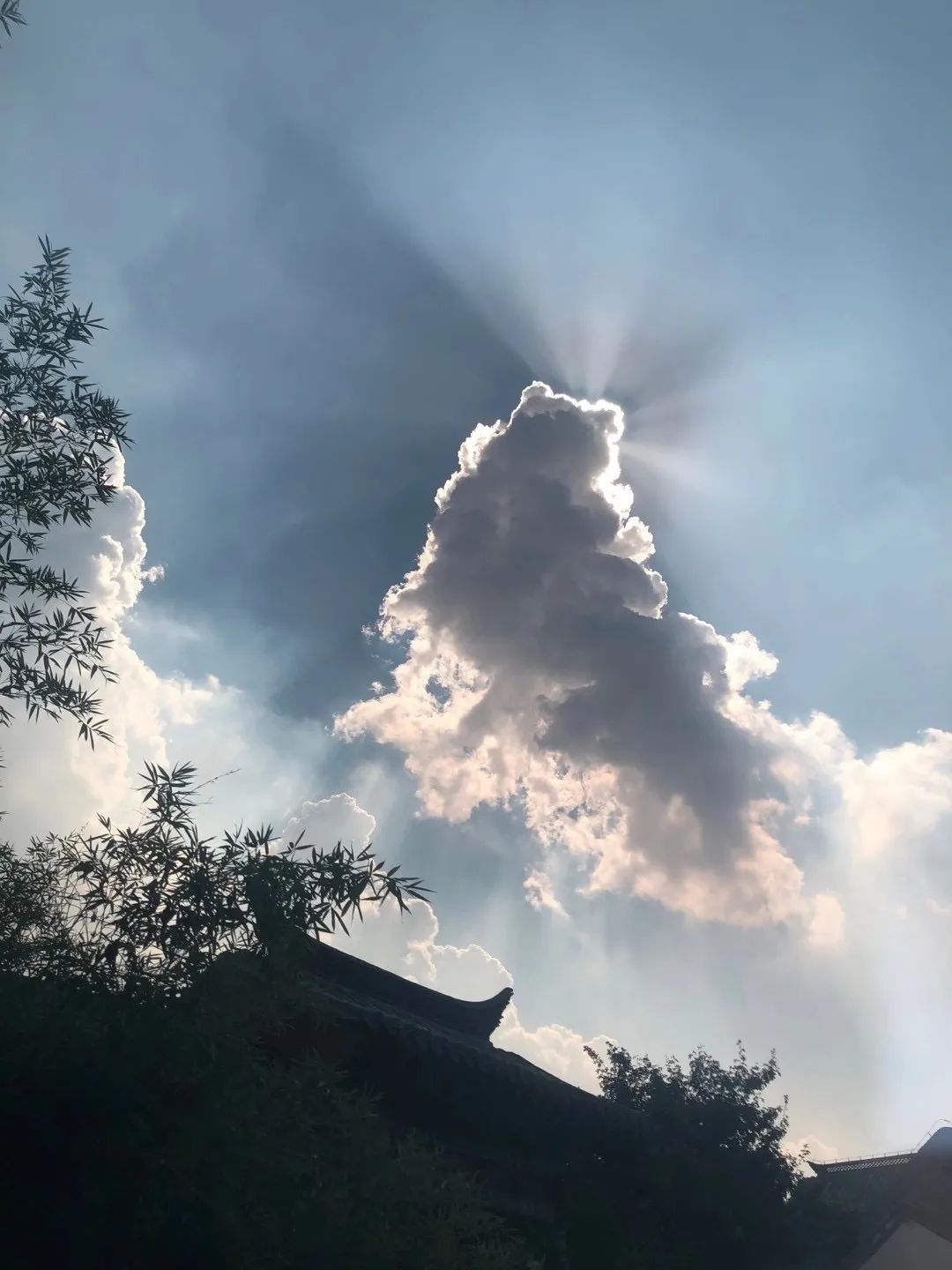 济南楼市，价格到底了吗？