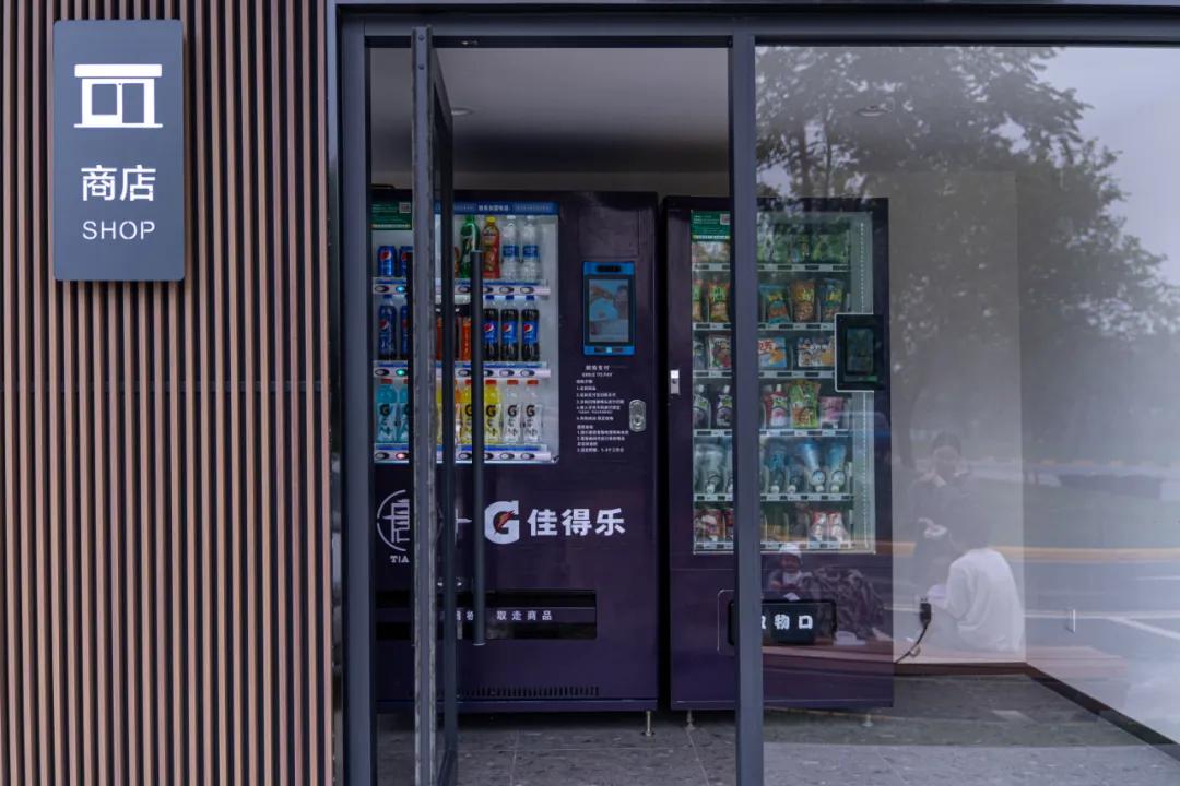 西安花海小森林,西安周边适合郊游野餐的地方