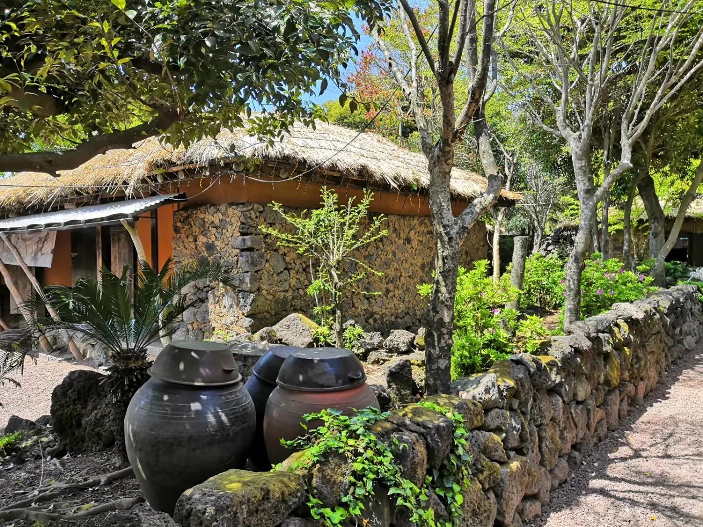 在济州岛发呆的日子,济州岛散心