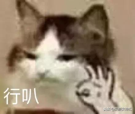 真人试色阿玛尼梅子色口红,真人口红测评视频