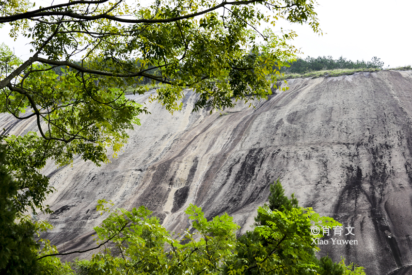 广东肇庆有块大斑石，有80个足球场大小，被誉为天下第一石