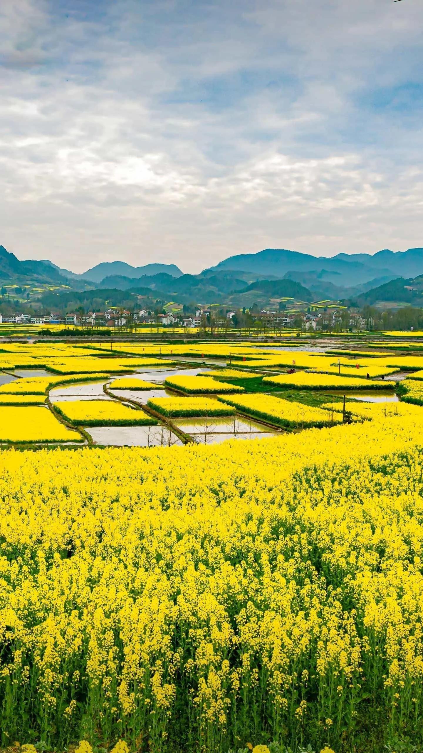 北漂想留在北京应该做些什么,去北京扎根有多难