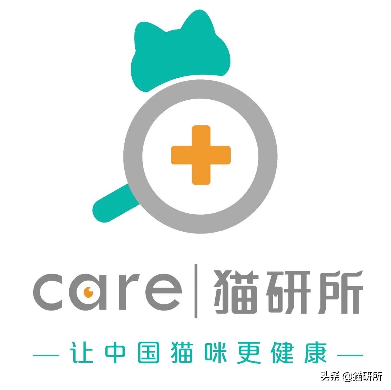 猫咪照镜子看自己,猫咪照镜子是什么样子图片