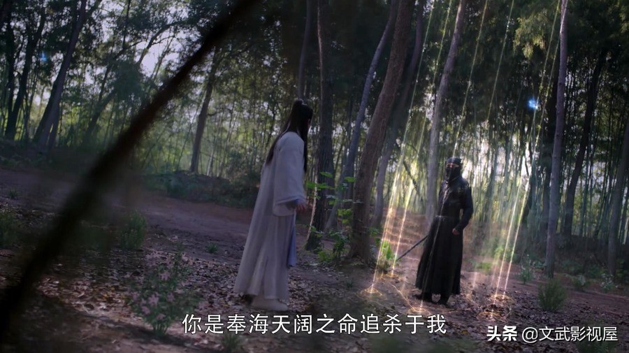 从前有座灵剑山王舞对战两大长老,从前有座灵剑山王舞暴露实力