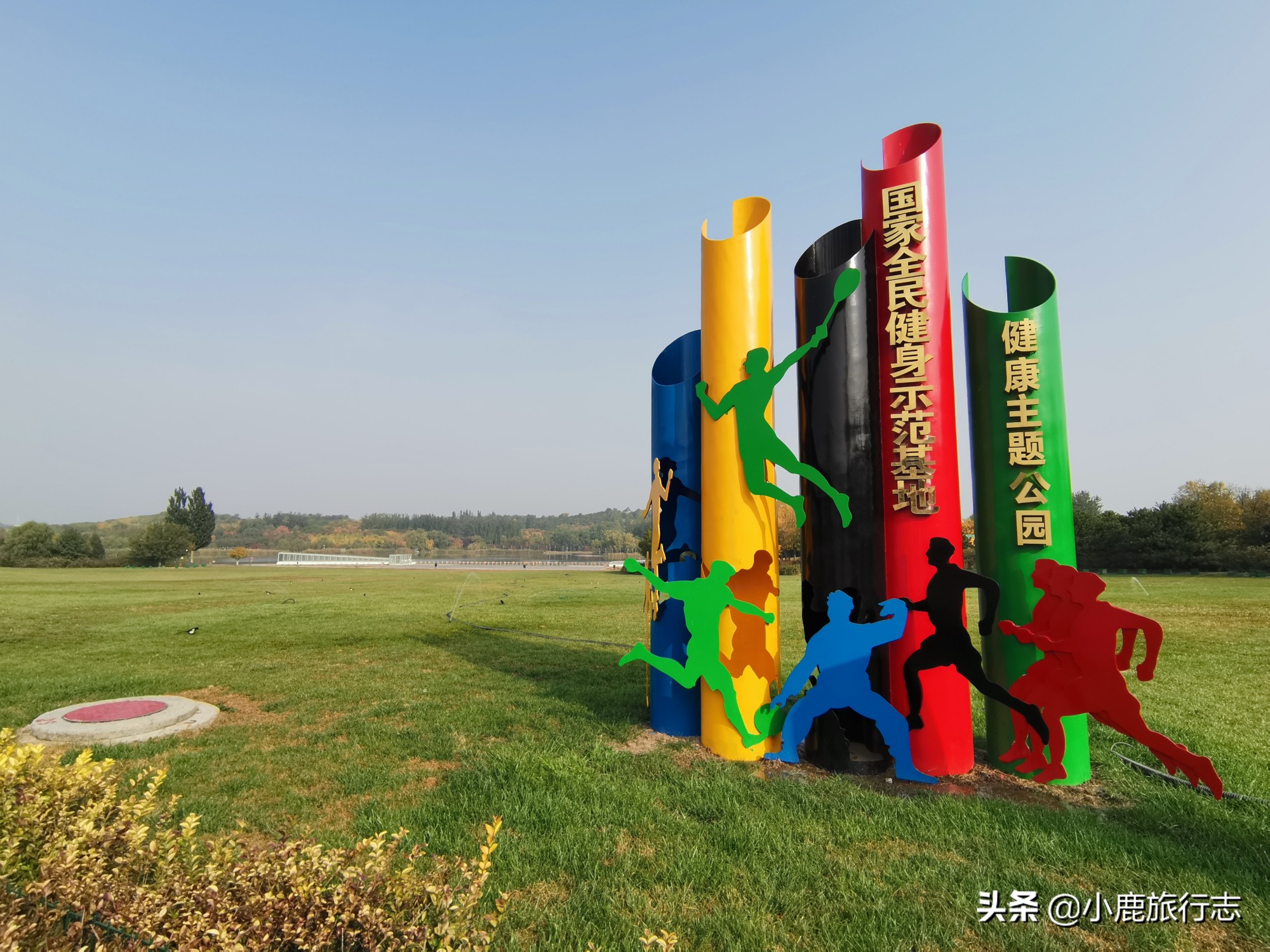 北京免费玩森林公园有哪些,北京森林公园一日游最佳攻略