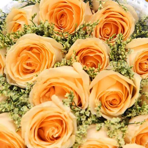 闺蜜送哪些色调的玫瑰较为好一点,什么颜色玫瑰适合送闺蜜