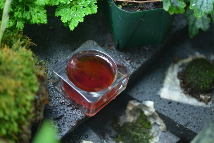 花园里防蚊子,在花园里劳作