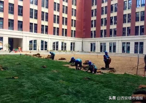 交大创新港校区落户,西安交大创新港第一批新生入驻