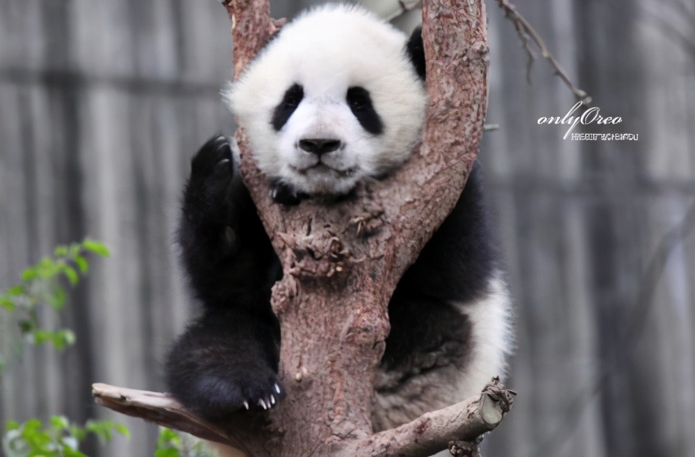 机床用的卡盘是什么,秒懂百科数控车床