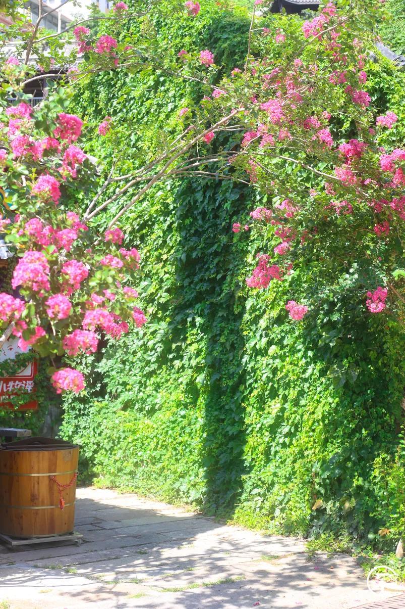 深圳甘坑客家小镇要门票吗,深圳客家小镇在什么位置