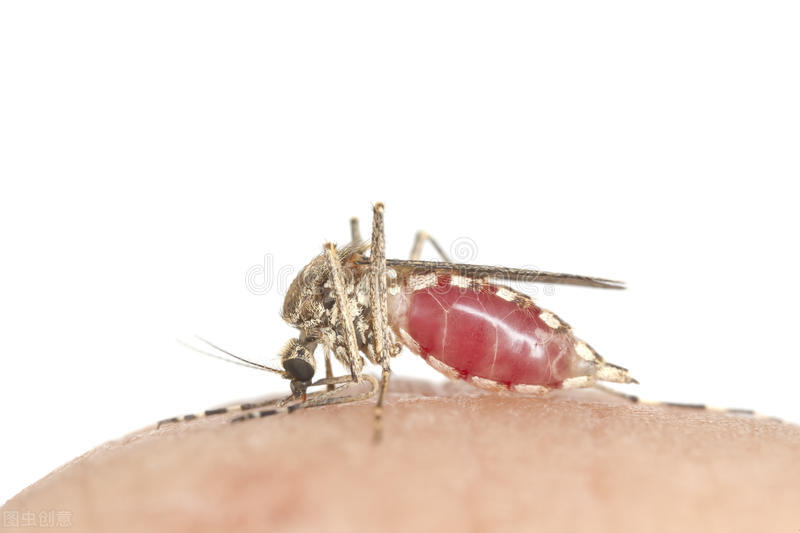 在公益组织做志愿者的体验,在红十字会当志愿者