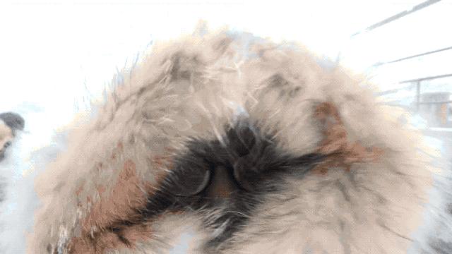 俄罗斯贝加尔湖8日游,游俄罗斯贝加尔湖