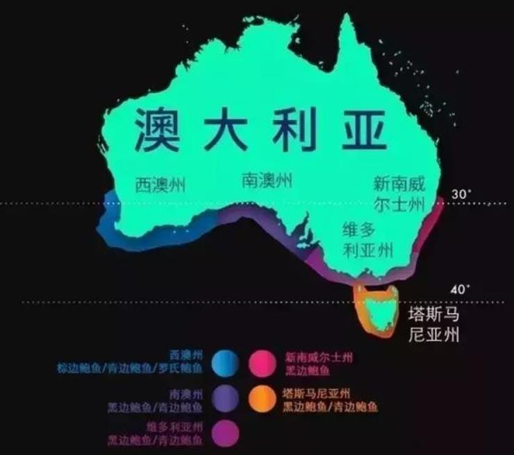 世界鲍鱼品种大全，你若知道其中5种，我叫你三声大哥