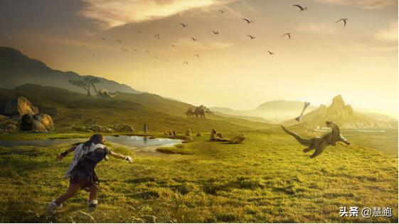 跑鞋技术演变,跑鞋衰退程度